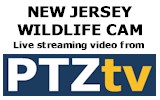 PTZtv Scenic Webcams